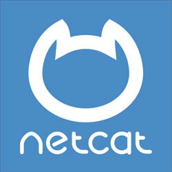 NetCat (лицензия), Версия Standard 735892953