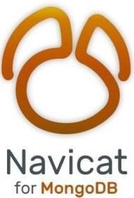 Navicat for MongoDB (подписка, Subscription версии Enterprise), на 1 год 147310629