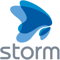 StormCorp (платформа бизнес-аналитики Storm Navigator на 1 год), цена за 1 лицензию 1881588594