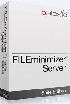 balesio AG balesio FILEminimizer Server (лицензии), Лицензия Enterprise (до 5 TB) 1121962583