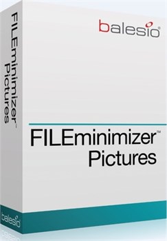 balesio AG FILEminimizer Pictures (лицензия), Количество пользователей 1430538296