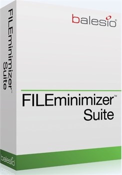 balesio AG FILEminimizer Suite (обновление Premium Pack), Количество лицензии 24594962