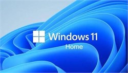 Microsoft Windows 11 HOME, Электронная лицензия 1586600603