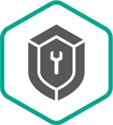 Расширенная техническая поддержка сертификат на 2 года Plus 1373450900