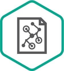 Kaspersky Digital Footprint Intelligence Analytical Report Russian Edition (лицензия Add-on License на 2 года), 4 - Report 1898350779