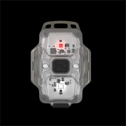 Armytek Crystal (белый и красный свет) 1461585550