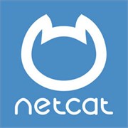 NetCat (лицензия), Версия Standard 735892953