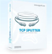 AGG Software TCP Splitter (лицензии), версия Professional Pro 500 2054218834