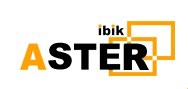Ibik Астер Professional-4 Бессрочная лицензия, на 4 рабочих места 2077564962