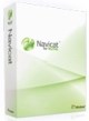 Navicat for MySQL (техподдержка для версии Standard для коммерческих организаций), на 1 год 224274556