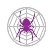 Спайдер Проджект Spider Project (лицензия Professional) 1950066693