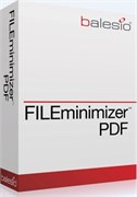balesio AG FILEminimizer PDF (поддержка), Количество лицензии 958181626