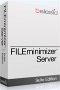 balesio AG balesio FILEminimizer Server (техподдержка), Лицензия Enterprise 1850266230