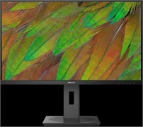 Монитор Philips 32B1N3800 31.5-inch черный 574393917