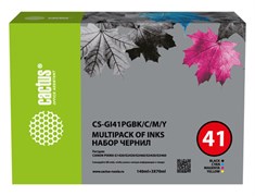 Чернильница голубой, желтый, пурпурный, черный Cactus CS-GI41PGBK/C/M/Y 74440973
