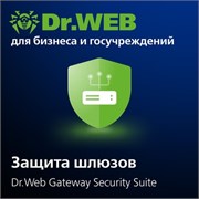 Доктор Веб Dr.Web Gateway Security Suite, Антивирус + Центр Управления лицензия на 1 год на 1 год на 13 ПК 1623139133