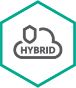 Kaspersky Security для виртуальных и облачных сред (базовая лицензия Enterprise для CPU), Электронная лицензия на 2 года по количеству CPU 767532030