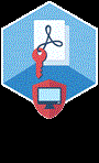ElcomSoft Co.Ltd ElcomSoft Advanced PDF Password Recovery (продление лицензии), Professional Edition Продление лицензии на 12 мес. 680171652
