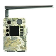 Фотоловушка Teltos BG310 M 164243588