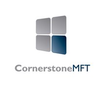 South River Technologies South River Cornerstone MFT (продление техподдержки DMZedge), Server,1Year Maintenance and Business Standard Support 386935145