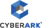 CyberArk PlanDesigner (серверный модуль PD, многомерные кубы, включая 1 лицензию PD-Архитектор), Версия на Oracle 176847639