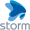 StormCorp Storm 1C коннектор (лицензия на 1 год), цена за 1 лицензию 871681429