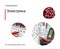 CSoft Development Model Studio CS Электрика 3 (лицензия на 3 месяца), сетевая лицензия, серверная часть 1005066598