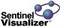 FMS Advanced Systems Group Sentinel Visualizer (лицензии), PREMIUM 1ПК 287890192