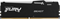 Оперативная память Kingston FURY Beast RGB EXPO 16GB 6000MT/s DDR5 CL30, KF560C30BBEA-16, RTL 1782355803