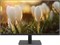 Монитор Dahua LM24-A201A 23.8-inch черный 603021011