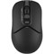 Мышь A4tech Fstyler FB12 BLACK, цвет черный 1512131060
