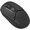 Мышь A4tech Fstyler FB12 BLACK, цвет черный 1512131060