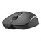 Мышь A4tech Fstyler FM26 USB (SMOKY GREY) 2059536465