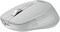 Мышь ACER OMR310 ZL.MCECC.033, цвет серый 1038763573