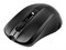 Мышь ACER OMR010 ZL.MCEEE.005, цвет черный 311226688