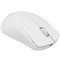Мышь ASUS ROG HARPE ACE MINI 90MP03Z0-BMUA10, цвет белый 1151788182