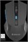Мышь Defender Accura MM-275 52275 446225220