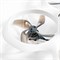 Квадрокоптер BETAFPV Cetus X HD с Walksnail Avatar (ELRS 2,4 ГГц) 379738453