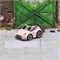 Набор Sniclo 1:100 SNT 370Z 2009 (Розовый) 2095467327