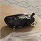 FPV-очки Walksnail Avatar HD X 1226173315