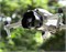 Бленда DJI Air 3 (Чёрный) (SunnyLife) 1421284482