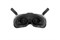 Комплект DJI Goggles 2 Motion combo 2096336846