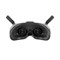 Очки DJI Goggles 2 637428894