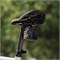 Крепление на седло велосипеда Osmo Action Bike Seat Rail Mount 1430671376