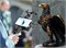 3D сканер Creality CR-Scan Ferret PRO 2056288460