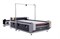 Лазерный станок Elixmate Conveyor 1830 CAM 1981502070