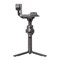 Стабилизатор DJI RS 4 Combo 1669330888