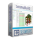 Seismosoft SeismoBuild (версия SeismoBuild Professional 2026 для коммерческих организаций), на 6 месяцев 25975875