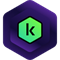 Kaspersky Premium + Who Calls лицензия Base Download Pack Russian Edition на 1 год и на 5 устройств 1938220304