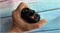 Рация Motorola DP4401E UHF DMR 1629757005